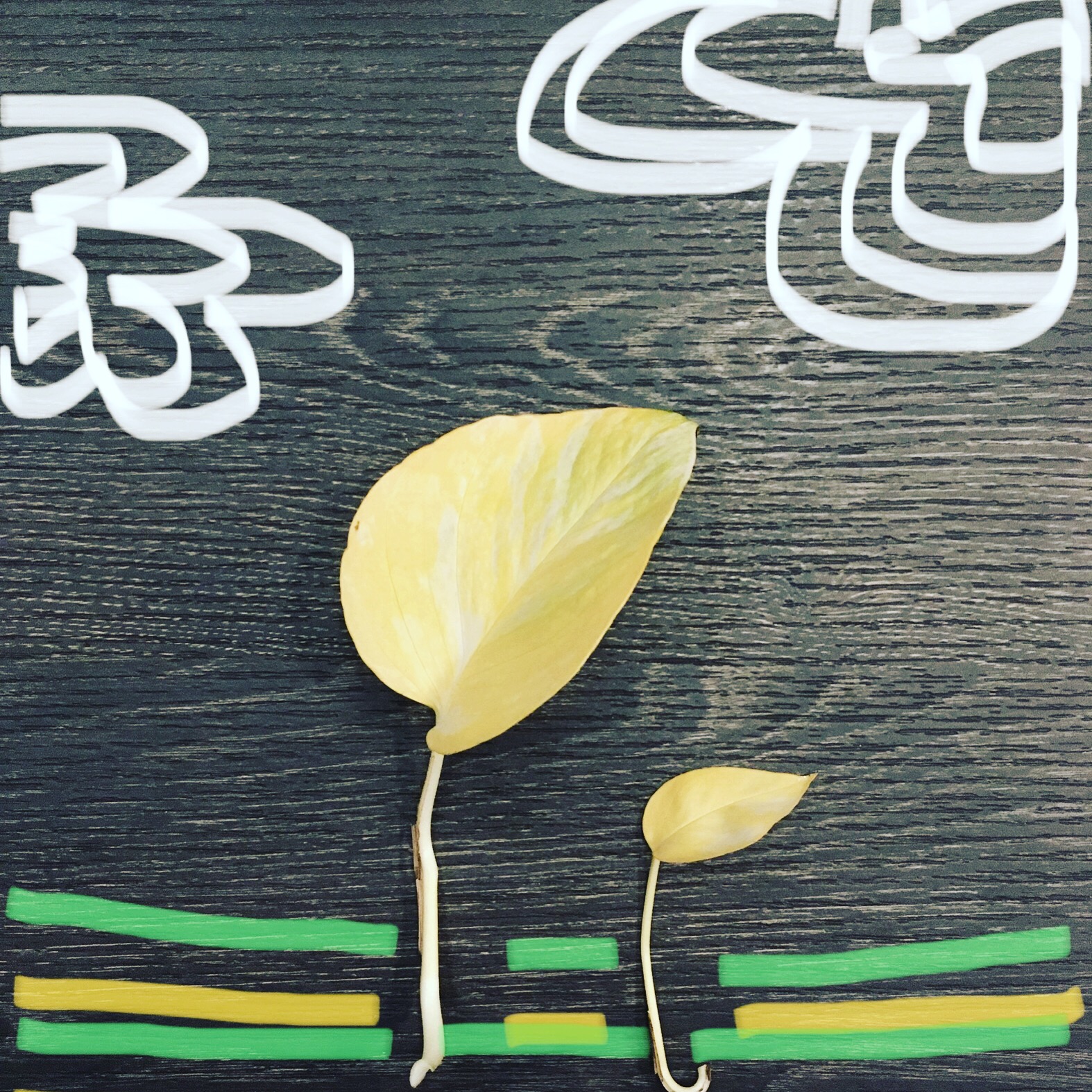 disegnare con il telefono