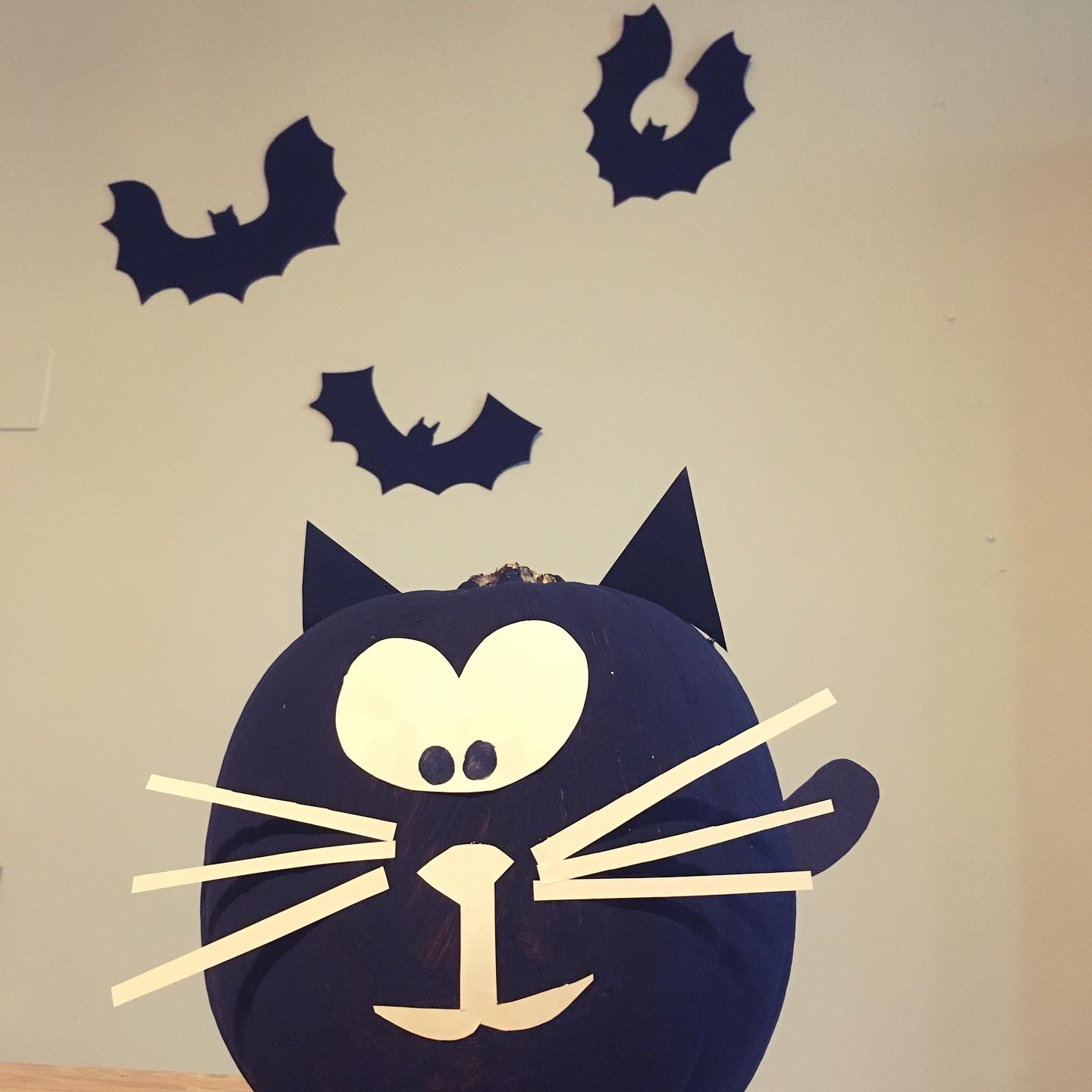 zucca halloween gatto